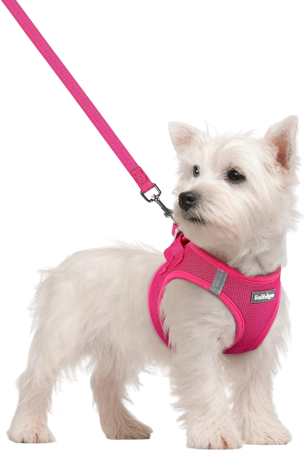 Dog Harness Small Sized and Leash Set - Pink