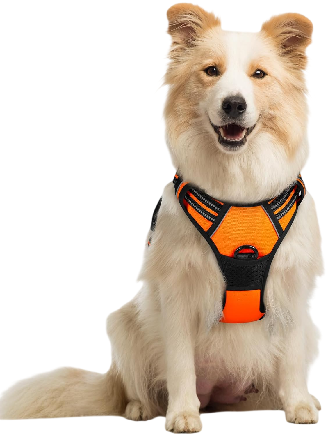 Dog Harness No Pull with 2 Leash Clips - Orange