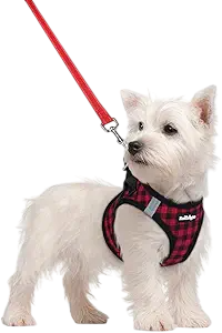 Rabbitgoo Dog Harness Small Sized and Leash Set - Red Check