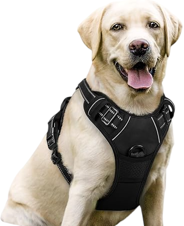 Rabbitgoo Dog Harness No Pull with 2 Leash Clips - Black