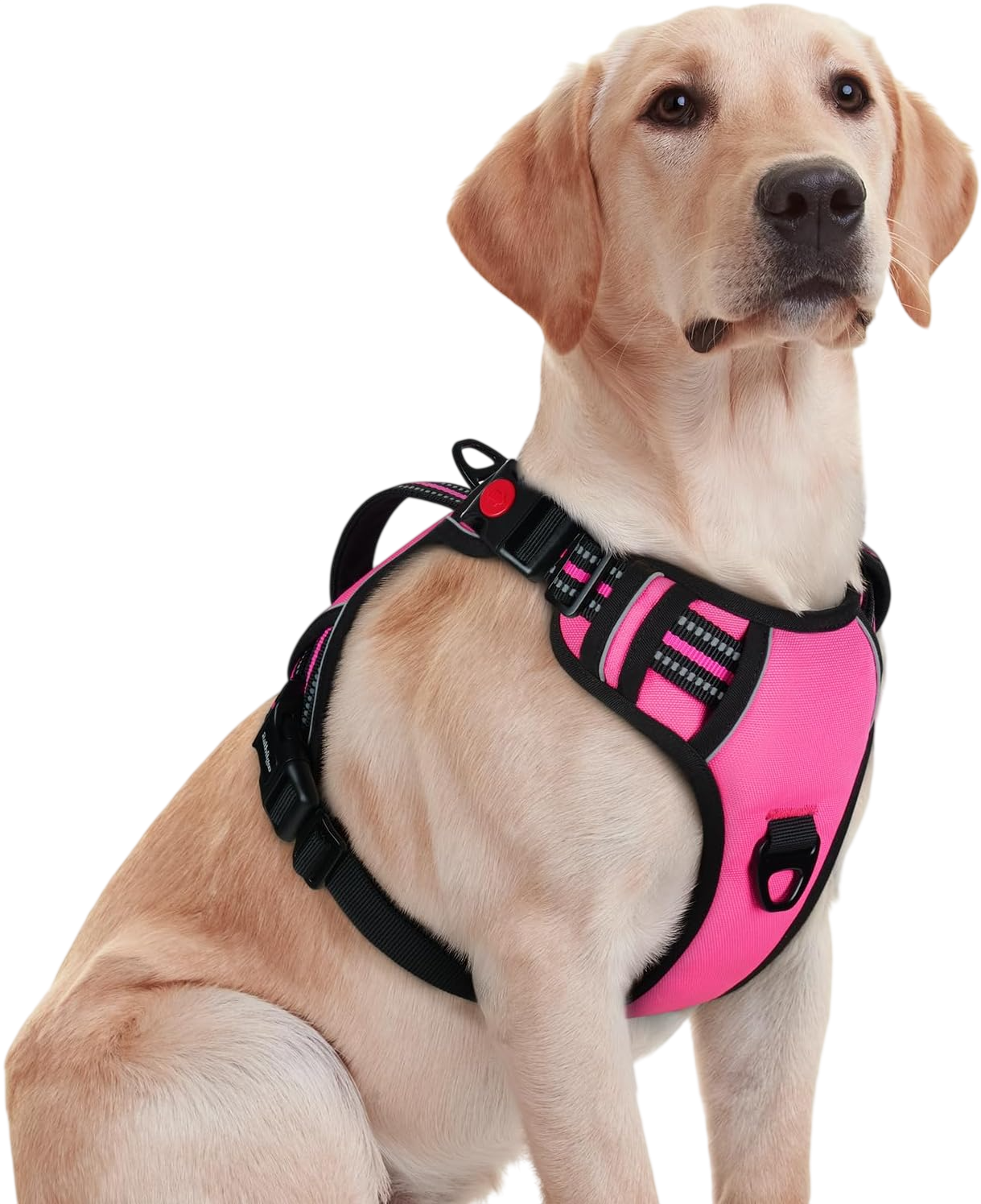 Dog Harness No Pull with 2 Leash Clips - Pink by Rabbitgoo